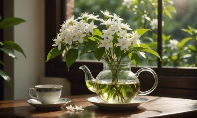 jasmine flowers health benefits